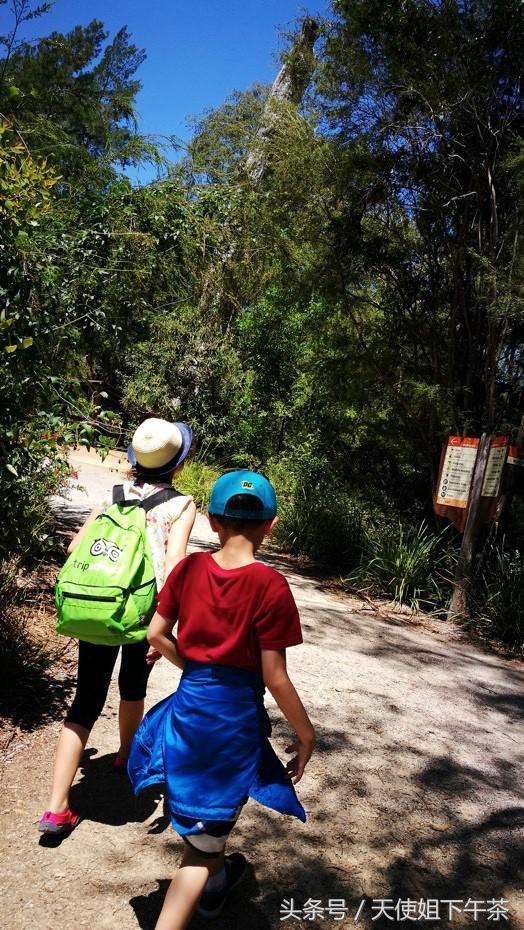 小鬼当家银行卡,小鬼当家卡牌