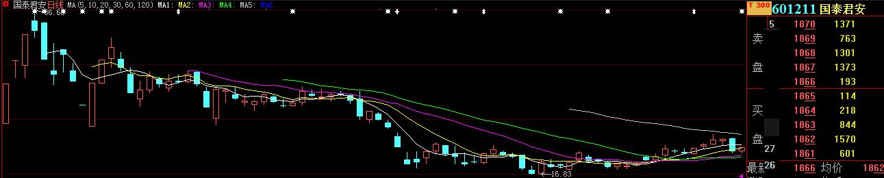 新股破发200多元一路下行,去年股票跌得最惨的股票