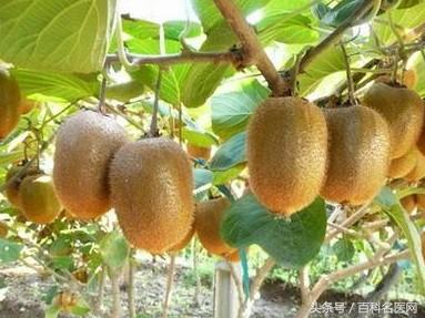 食欲不振胃胀解决的方法,胃炎吃饭后反酸怎么回事