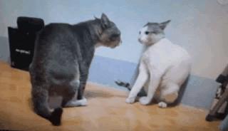 兄弟，别说你还真有点女人味！