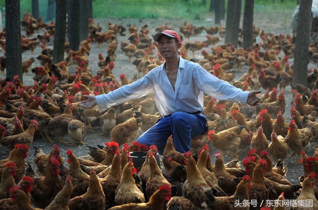 养殖低迷国家怎么破局,养殖行情低迷怎么降本增效