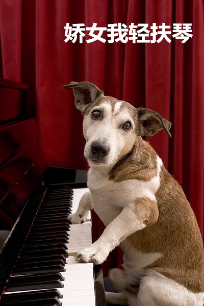 一人我饮酒醉女生唱出来的,一人我饮酒醉歌词来历详细解析