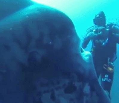 和往常一样，我的父亲喝了点酒，一场家庭*力暴**即将发生