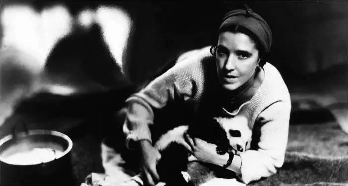 功夫熊猫是四川熊猫还是秦岭熊猫,为什么熊猫是中国的国宝