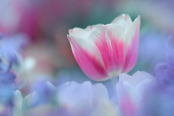 鼻头长痘怎么用药,鼻头长痘如何化解