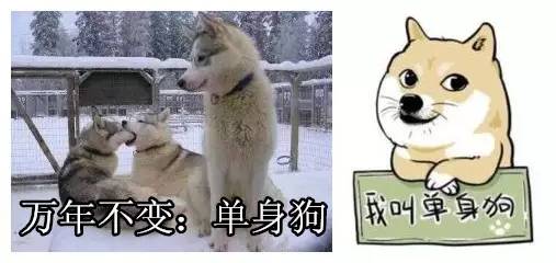 春节前后对比图,2017年春节和2022年春节对比