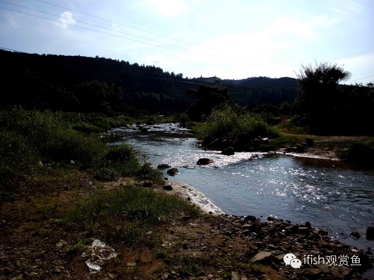 大圣年,大圣过年放鞭炮