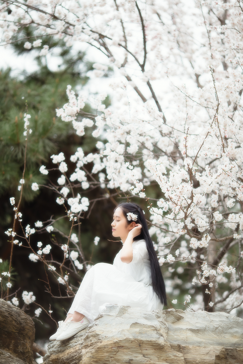 佳能18-55和50定焦怎么选,佳能35mm定焦怎么选