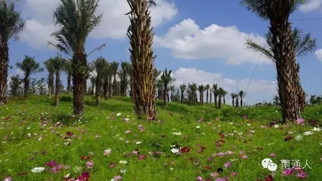 南通人可以免费的景点,南通人都去哪里玩