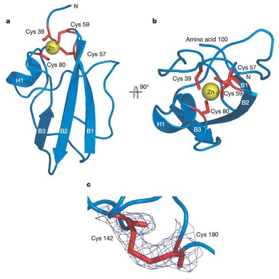 hcv特效药,hpv药研发到什么进度了