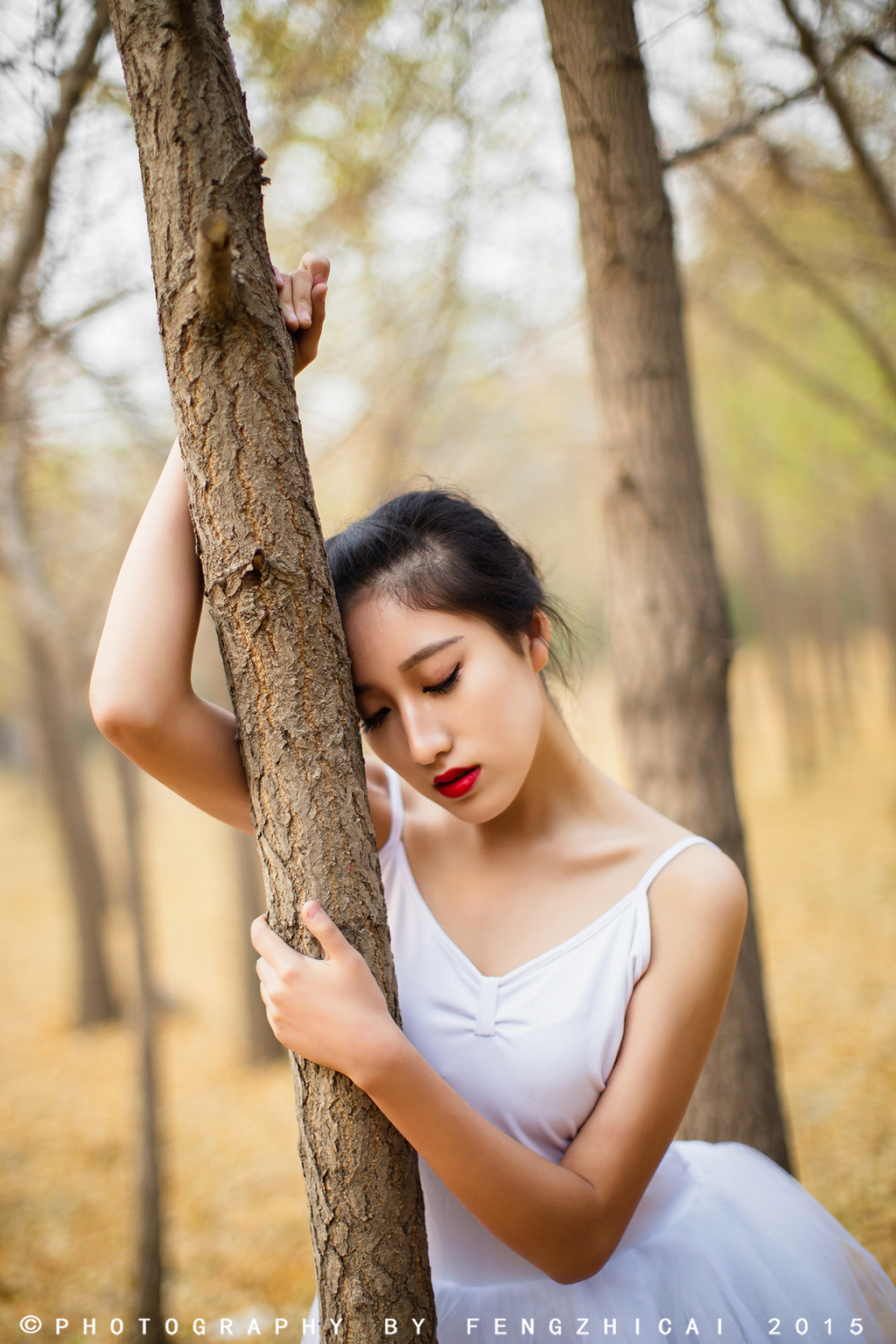 佳能18-55和50定焦怎么选,佳能35mm定焦怎么选