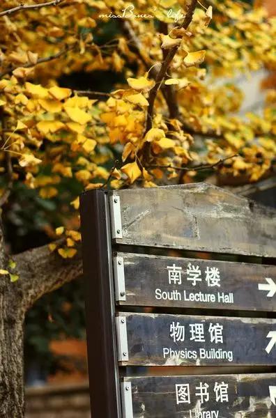 哪里飞武汉机票最便宜,飞武汉机票降价