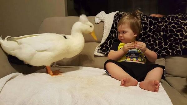 男宝宝小游戏玩具,男宝宝小游戏