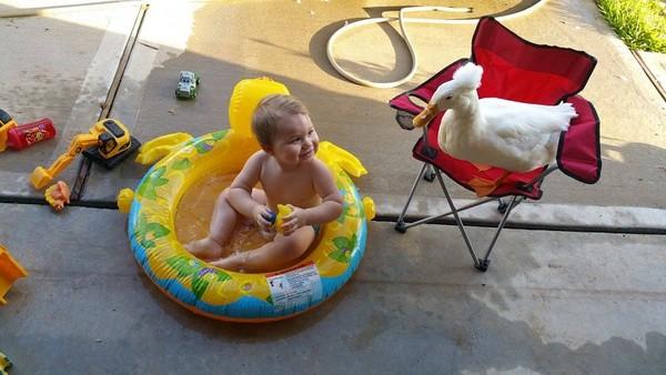 男宝宝小游戏玩具,男宝宝小游戏