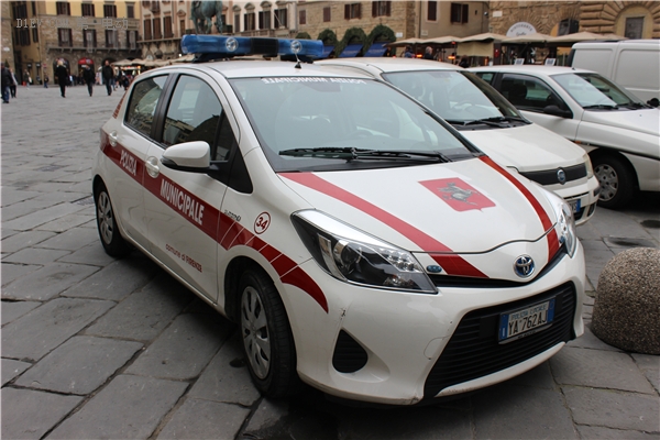 蜜月旅行惊现知豆比亚迪，顺着德法瑞意饱览欧洲的新能源汽车