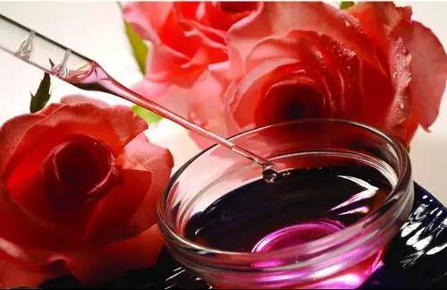 玫瑰花,玫瑰花的葬礼