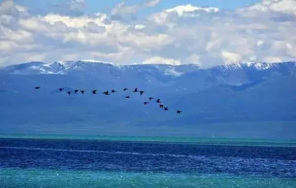 中国十四天旅行攻略 (顺着24节气游遍中国)