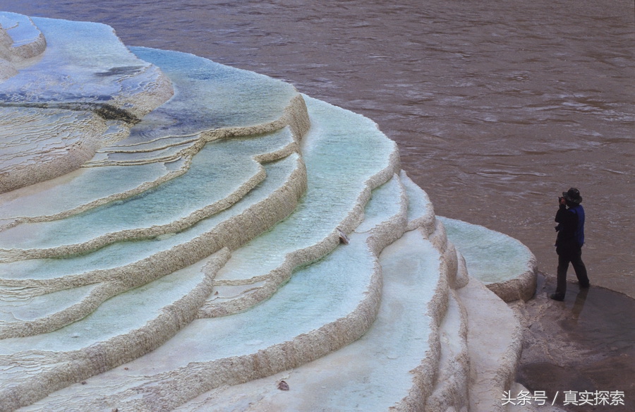 荒野求生秘籍完整版,荒野自救教程