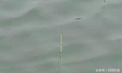 常见的漂相,各种漂相识别技巧