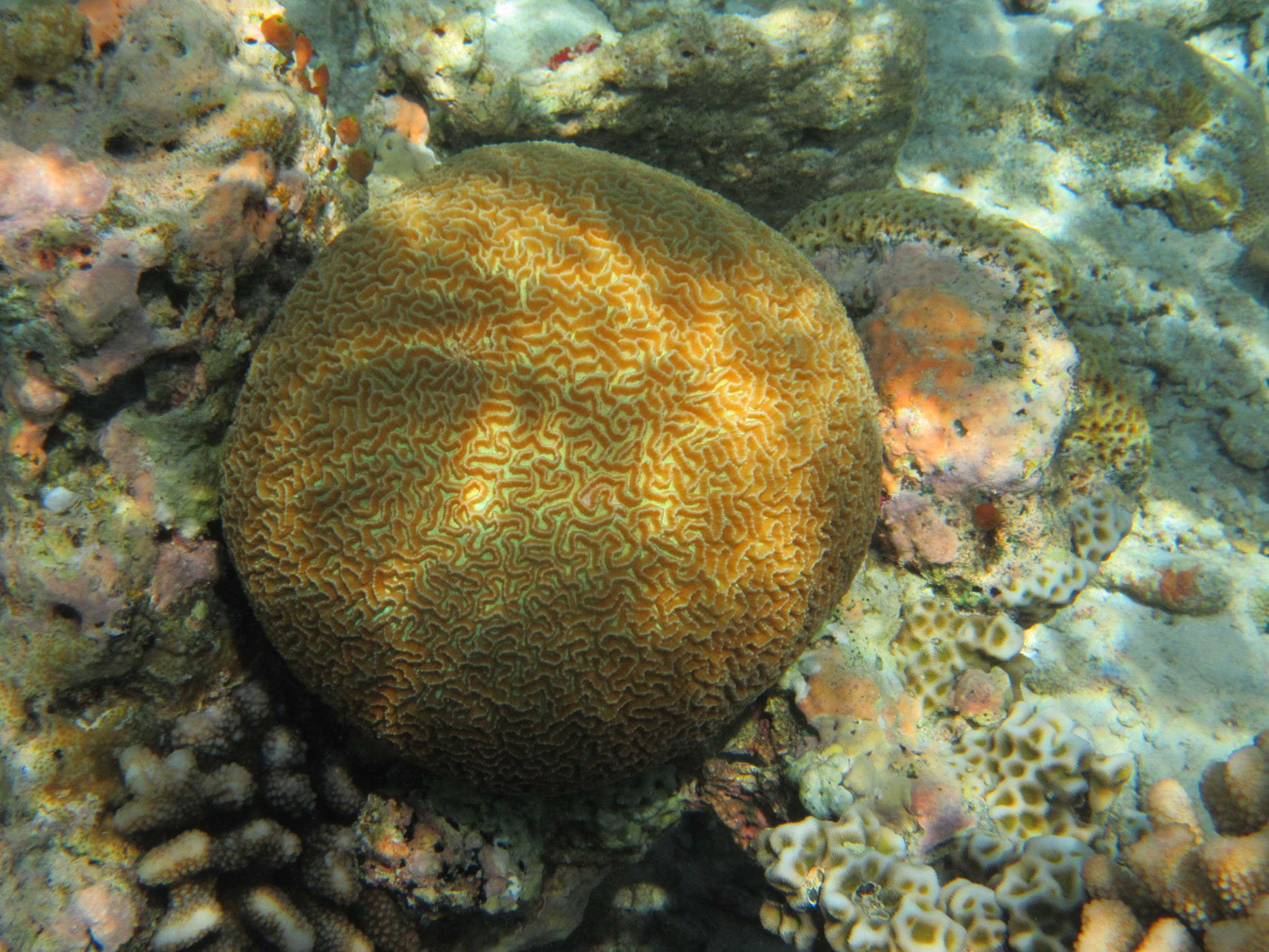 马尔代夫最美景色,最美马尔代夫风景