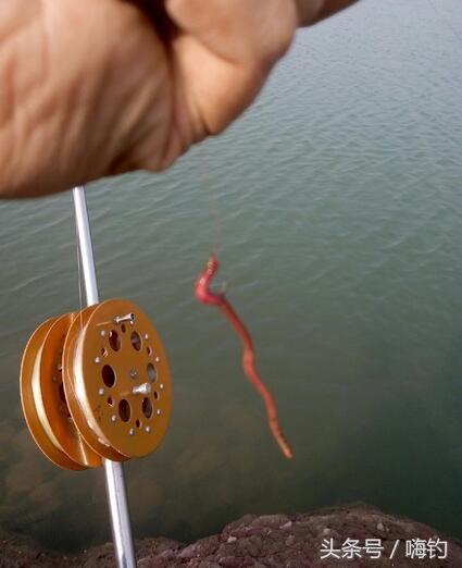 野鲫鱼怎么钓爆护,野钓爆护的几个技巧