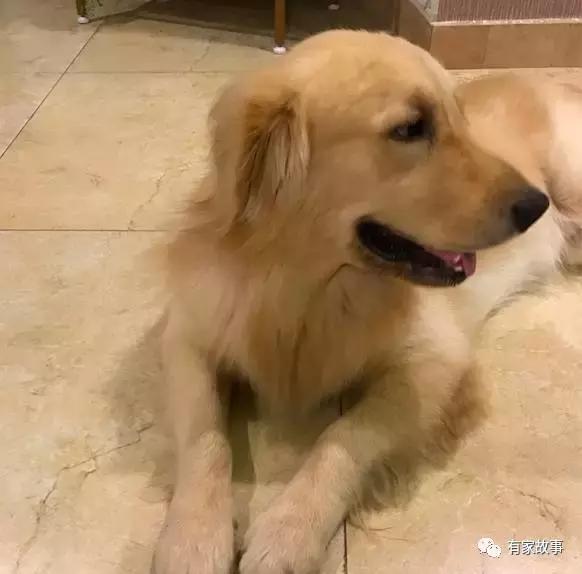 因为有家所以有乐,因为有家所以才有牵挂