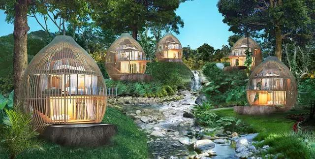 楦熷发搴﹀亣閰掑簵浣撻獙,闅愯棌鍦ㄥ師濮嬫.鏋楃殑娴峰崡楦熷发閰掑簵