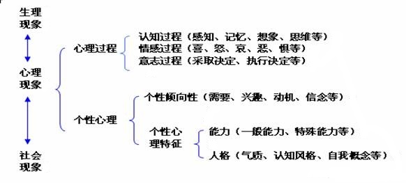 心理疗愈自学课程,心理学基础知识自我分析