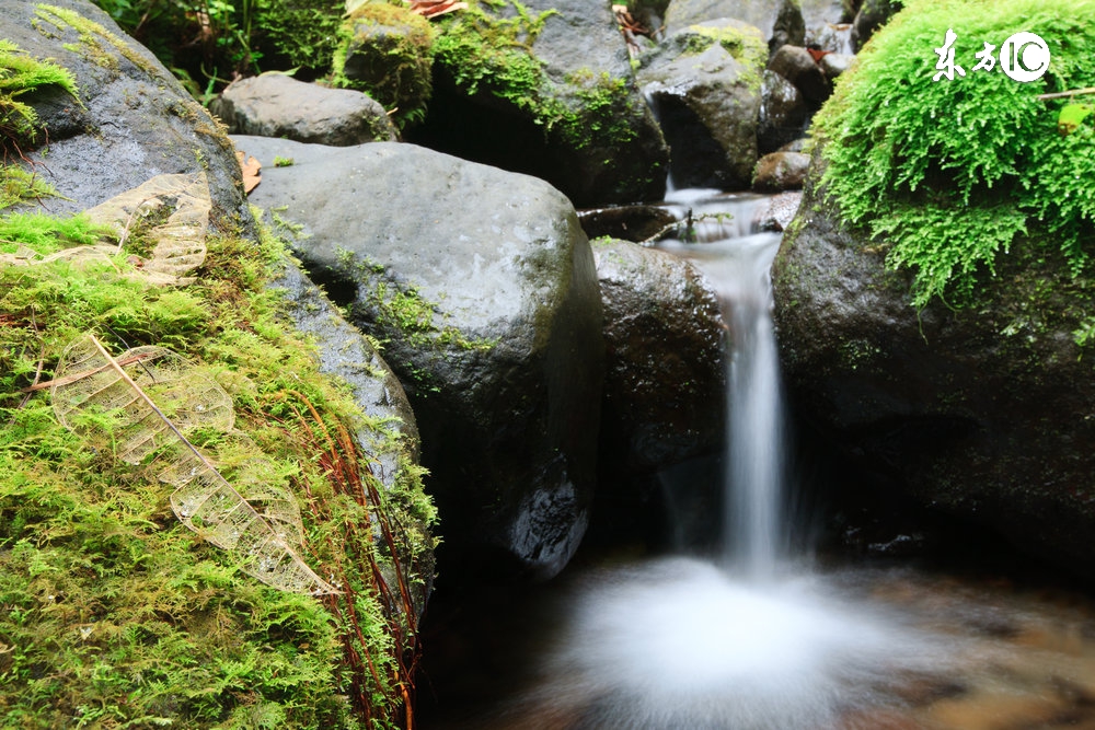 天疱疮激素治疗不见好转,天疱疮好了有什么症状