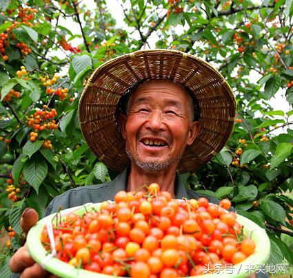 农村发展不起来的原因,农村电商未来发展什么好