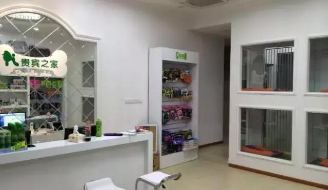 成都宠物寄养基地,成都狗狗寄养