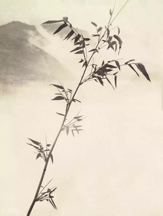 这才是真正的中国风,这才是真正的中国风古装