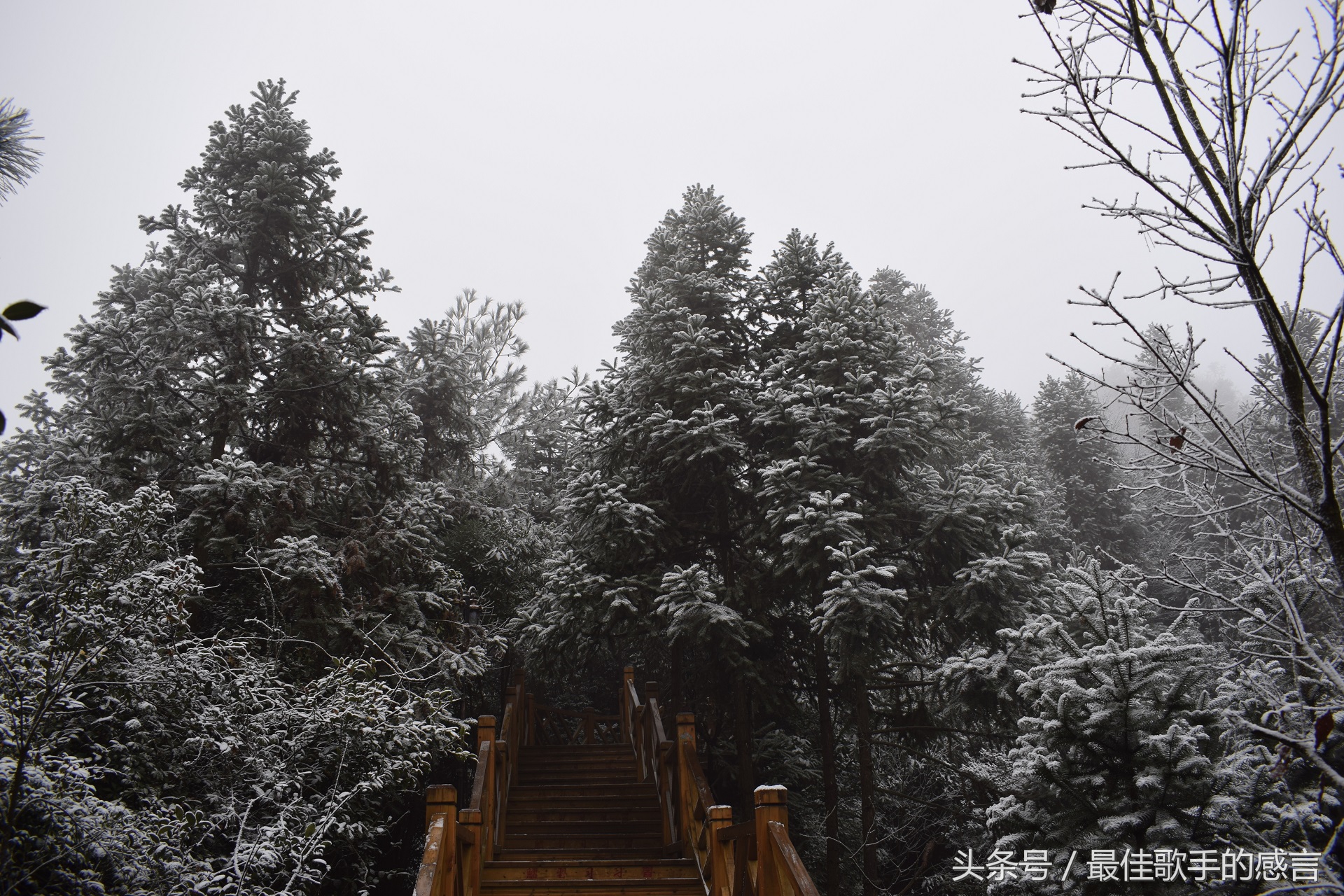 尼康d3300相机推荐新手入门,尼康d3300单反相机入门教程