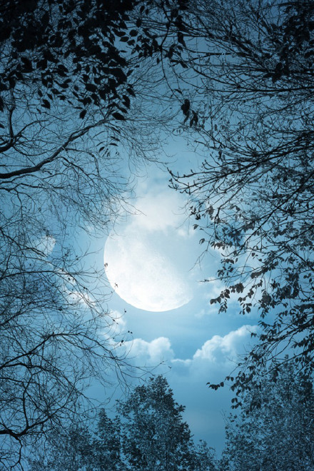 哀大莫过于心死，心死莫过于一笑