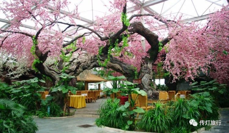 芜湖南陵三里镇,芜湖南陵怎么样