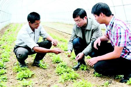 2017年小本生意好项目,2017年最赚钱的小生意