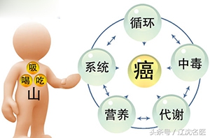 美国10条癌症预防建议,美国癌症数据2024