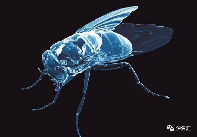 慧球科技披露问题,慧球科技1001项议案