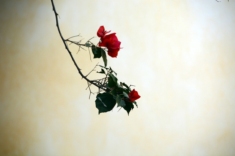 说走就走的旅行云南红河,邂逅云南高原美景