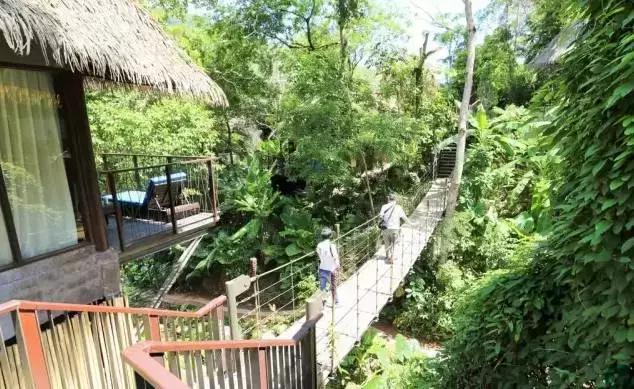 楦熷发搴﹀亣閰掑簵浣撻獙,闅愯棌鍦ㄥ師濮嬫.鏋楃殑娴峰崡楦熷发閰掑簵