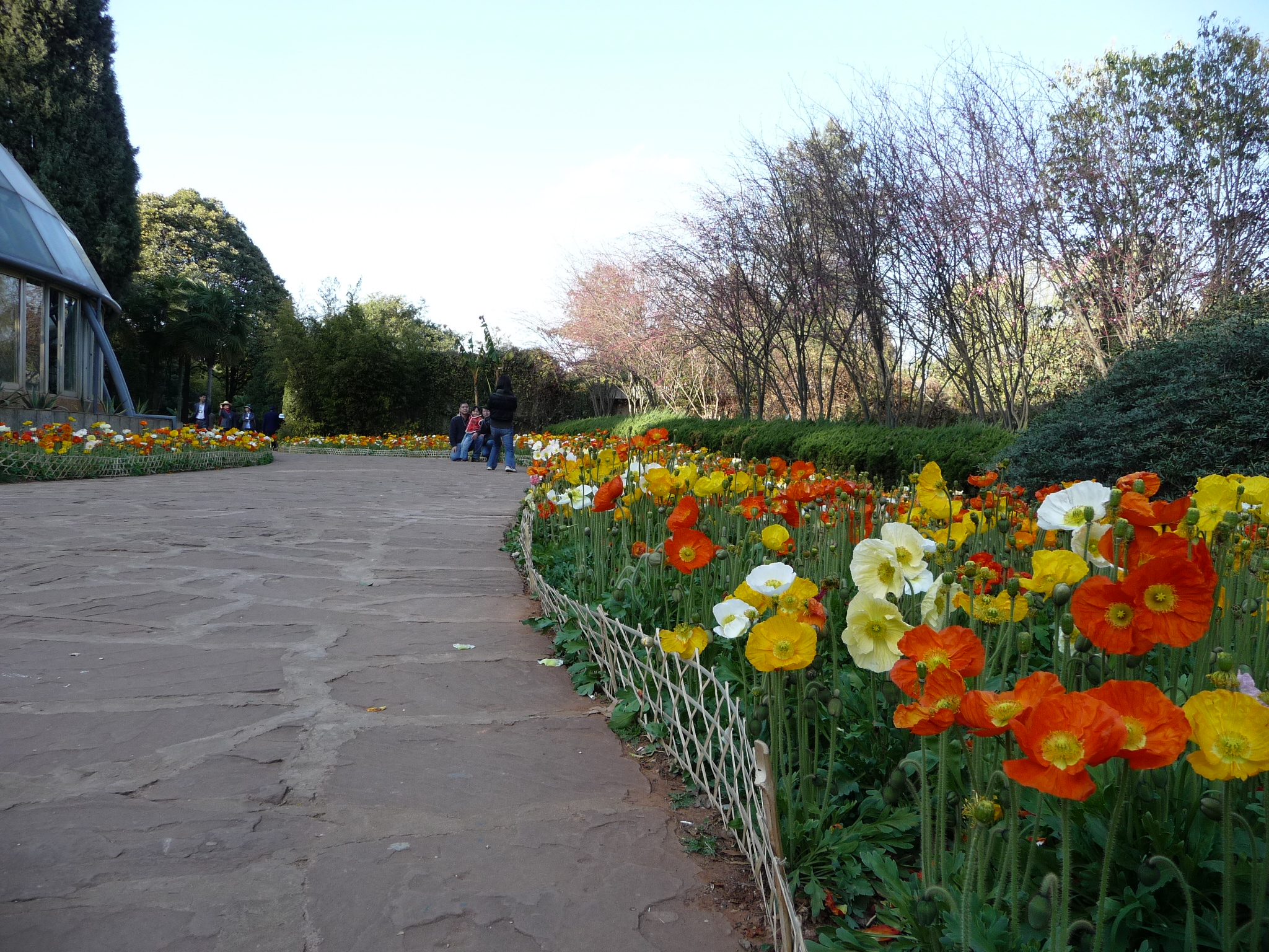 创业者之歌100首,创业者之歌全部歌曲