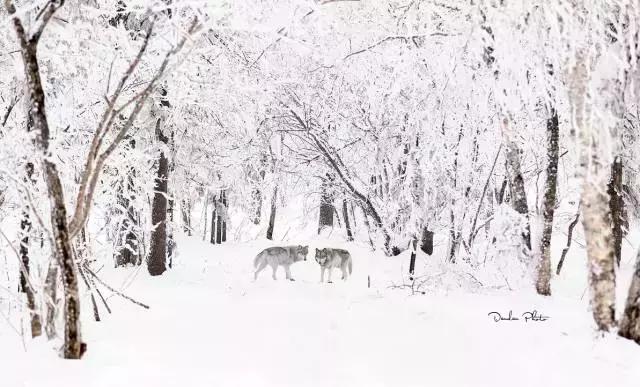 西藏五天旅游路线推荐冬日,冬天西藏3日游最佳路线