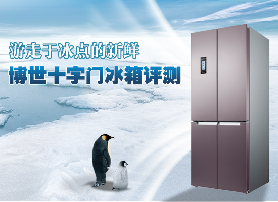 零度保鲜多门冰箱博世,博世风冷变频十字门冰箱