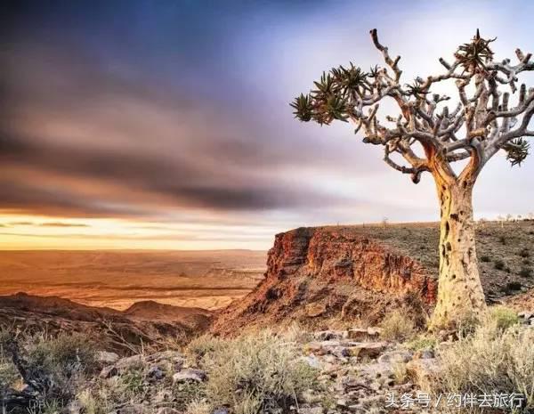 世界尽头与冷酷仙境如何阅读,纳米比亚黑暗天空