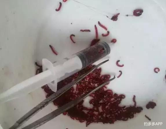 红虫感染不用愁，撸串神器解君忧