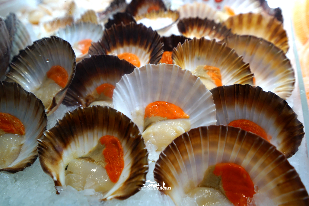 悉尼旅游攻略网红,怎么攻略悉尼