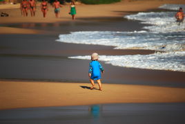 斯里兰卡旅行攻略图,旅游攻略你不知道的