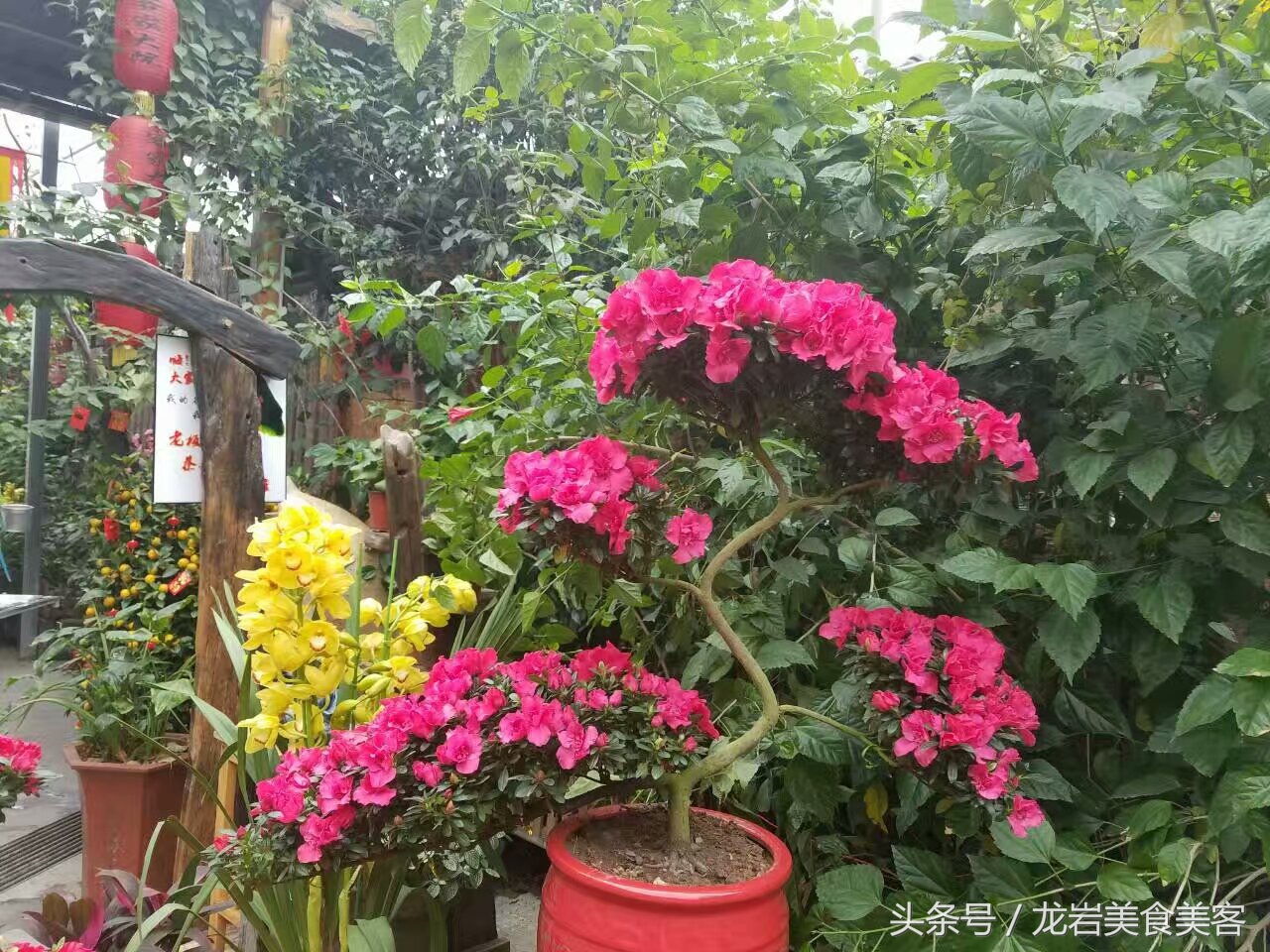 园林式客家大院,兴宁市客家院子