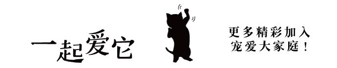 宠知识|冬季狗狗护理注意事项，你有留心到吗？