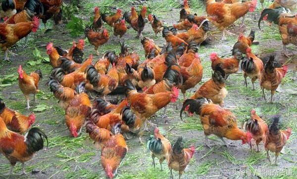 正确的水床使用方法,水床玩法